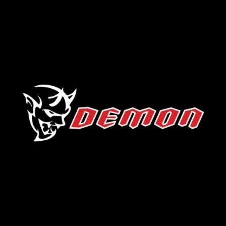 2PCS Led Car Door Laser Projector Welcome Lamp For Dodge Charger
